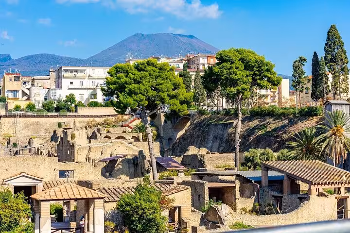 Discover the historic site of Herculaneum with scenic views of Mount Vesuvius, featuring a convenient skip-the-line access.