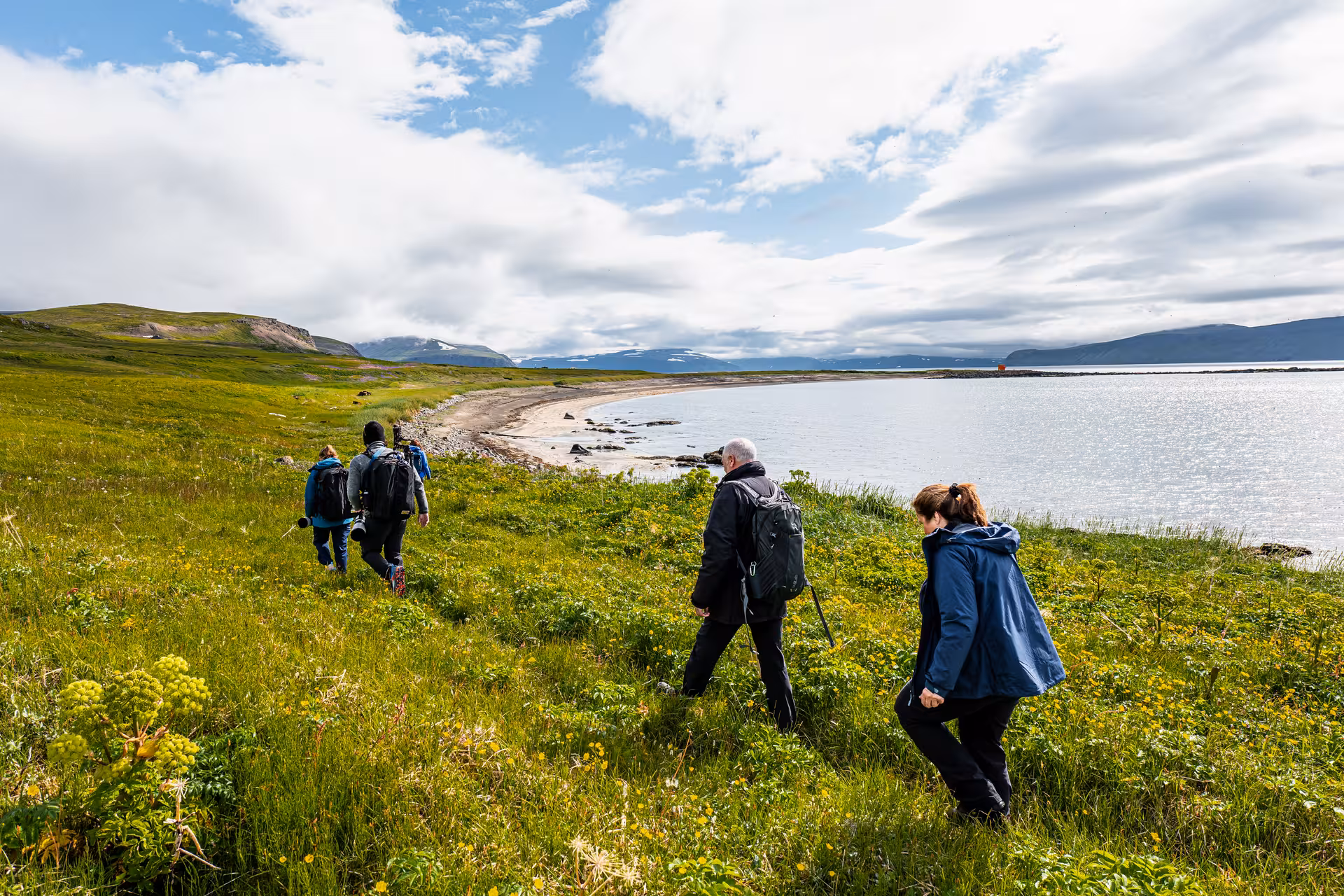 Guided coastal hike near Hesteyri in Hornstrandir, exploring fjords, wildflowers and heritage sites