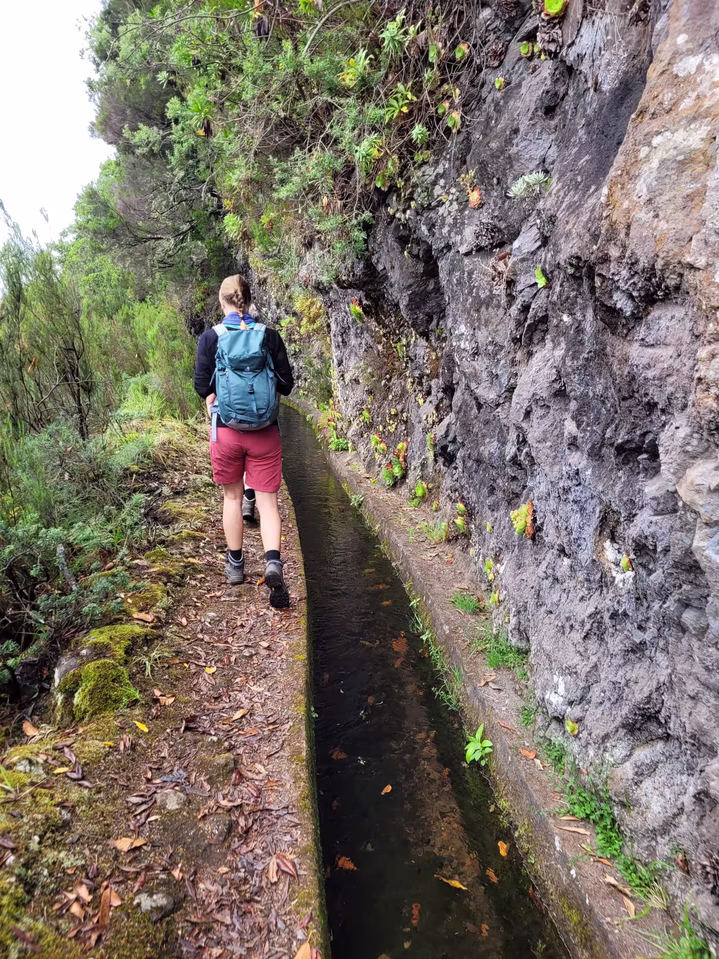Hiker walking along a narrow mountain trail with lush vegetation, perfect for adventure seekers.
