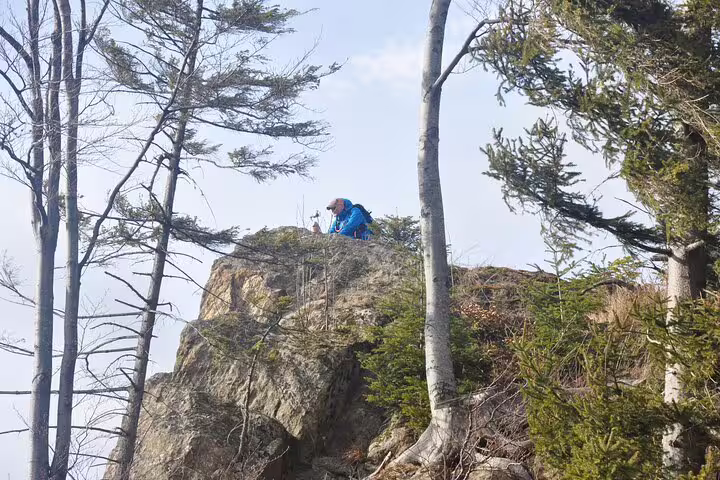Hiker in blue jacket on rocky mountain summit surrounded by pine trees in Taga Mountains near Brasov