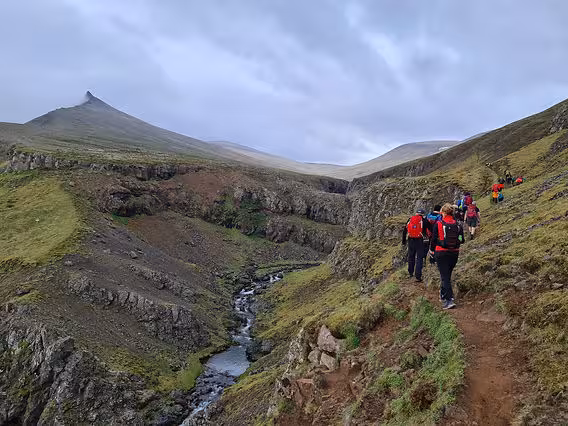 hikers on the trail