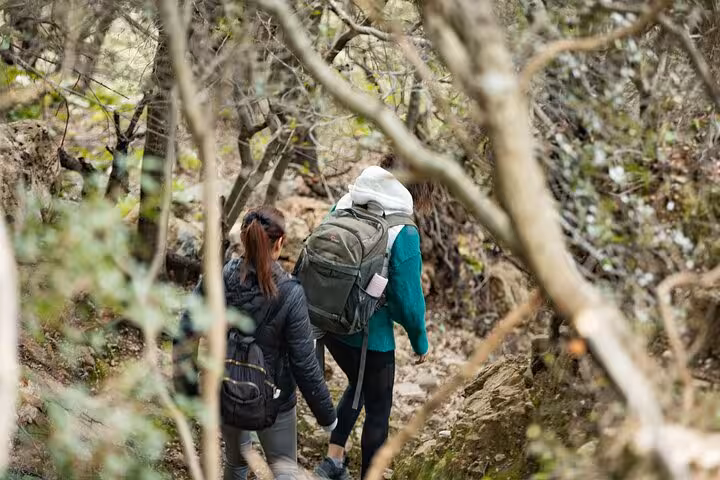 Two hikers with backpacks walk along a narrow forest trail toward Alama Spring on the Ikaria island hiking tour in Greece