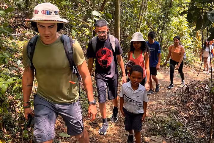 Group of hikers, including children, trek through lush greenery on a trail in Tijuca Forest, Brazil.