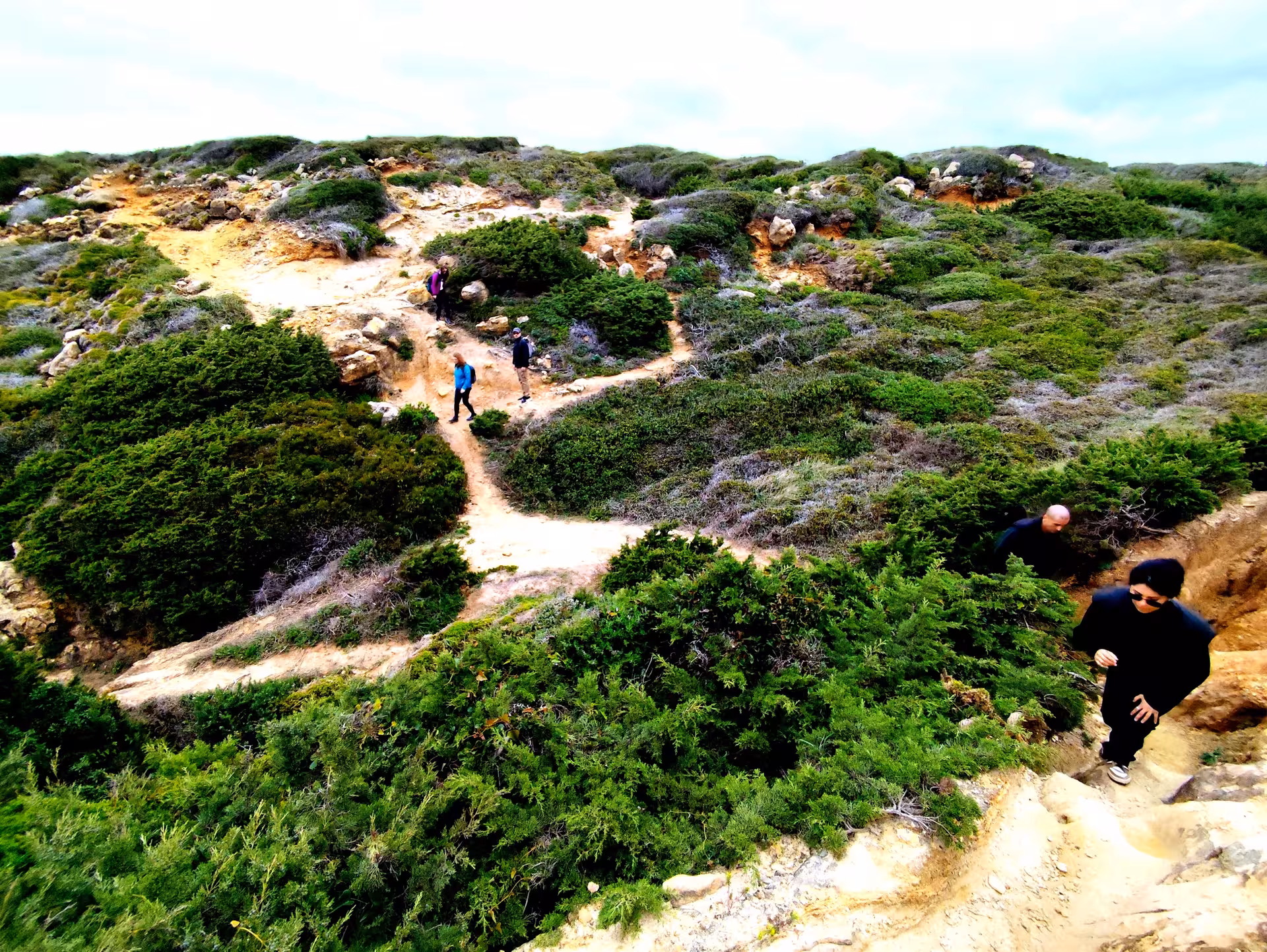 Hikers on sandy coastal trail through green scrubland on the Wild West Coast guided hiking tour