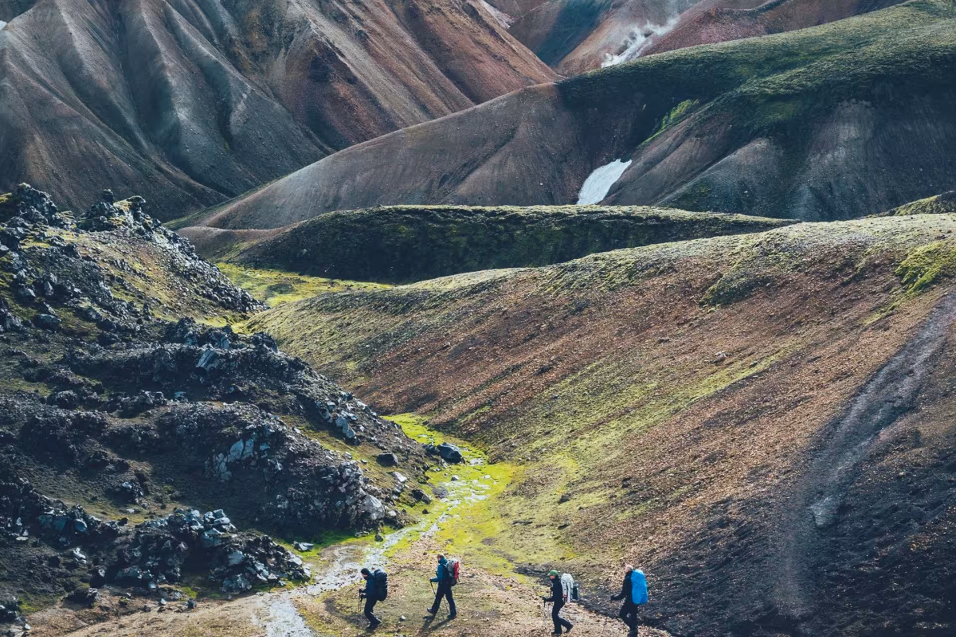 Four hikers trekking through colorful volcanic mountains and green mossy valleys of Landmannalaugar, Iceland