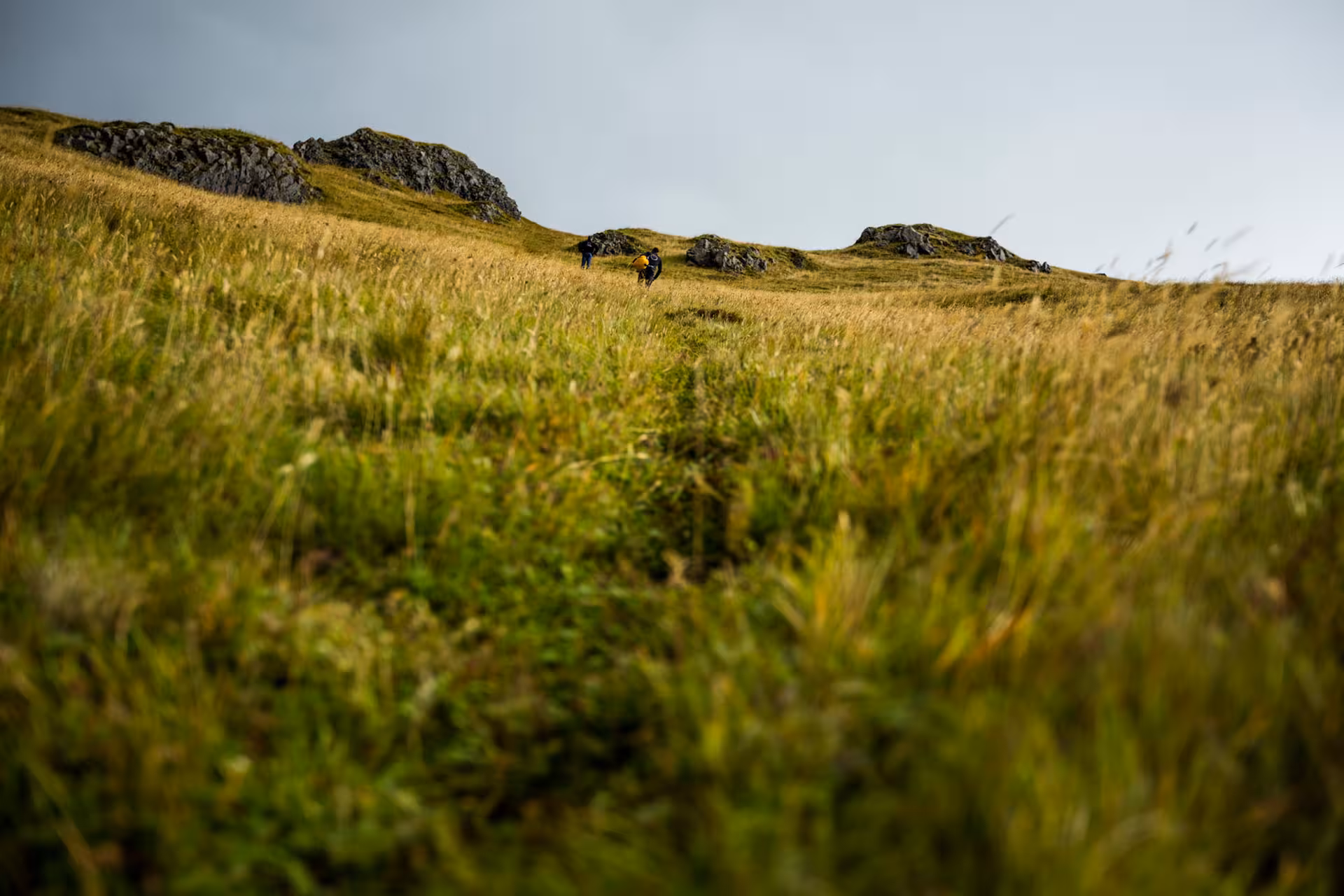 Hikers trekking through golden grass fields toward rocky outcrops in South Iceland highlands