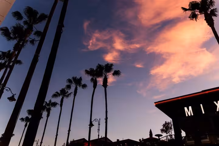 Palm trees silhouetted against a moody purple sunset sky in Hollywood