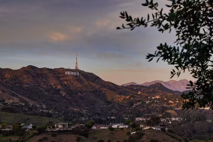Hollywood Sign on hillside at dusk with residential neighborhood below and tree branches in foreground