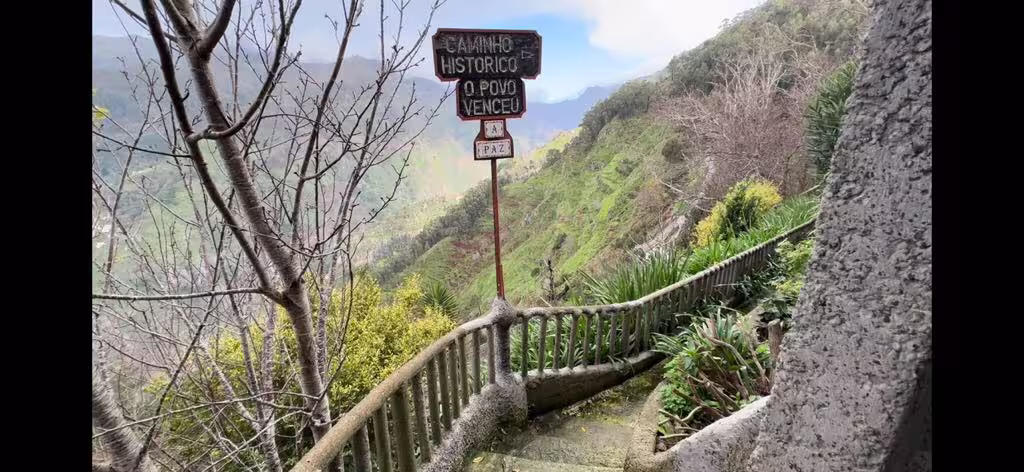 Scenic vineyard path with historic sign, lush greenery, and panoramic views on the holy wine half-day tour.