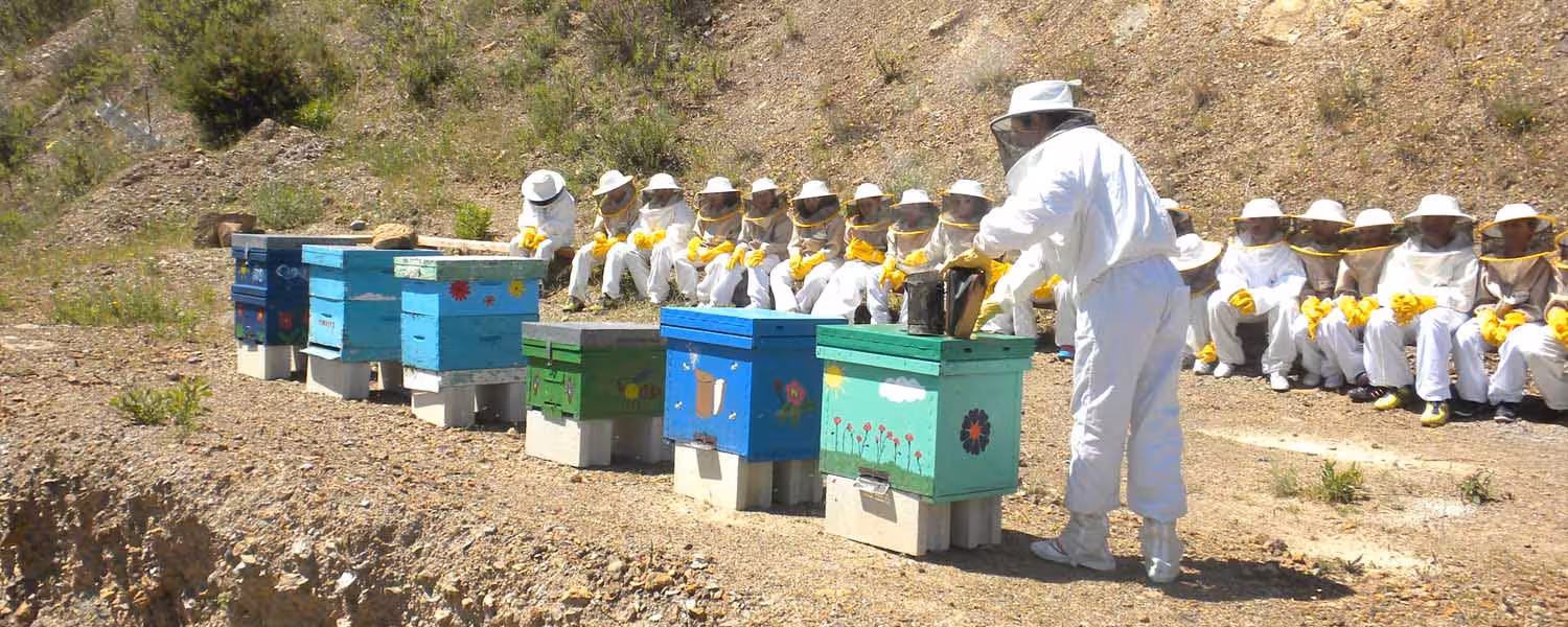 Participants in protective gear observe beekeeping demonstration at Honey Experience, Colmenar tour.