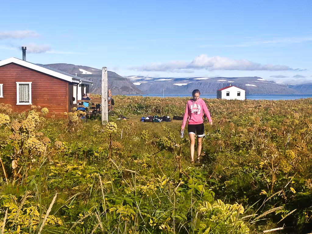 Hiker crossing wildflower meadow near remote cabin in Hornstrandir Nature Reserve, Iceland Green Cliffs trek