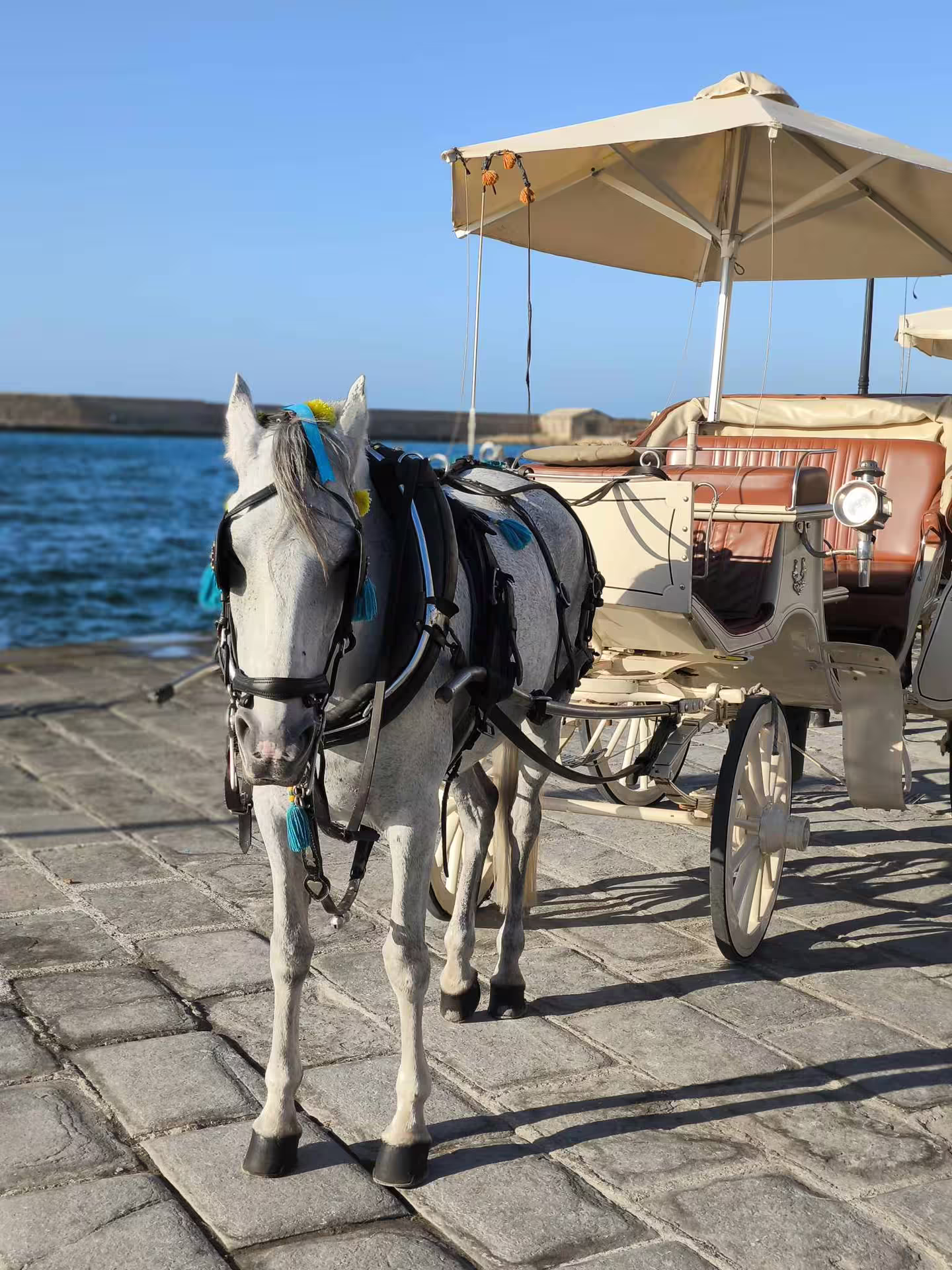 A horse-drawn carriage waits by the waterfront in Chania, offering scenic rides on the Explore Aptera & Chania tour.