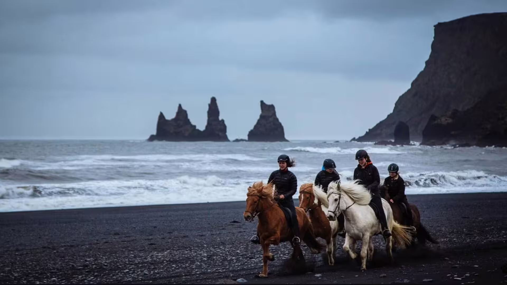 Four riders on Icelandic horses galloping along black sand beach with dramatic sea stacks in background