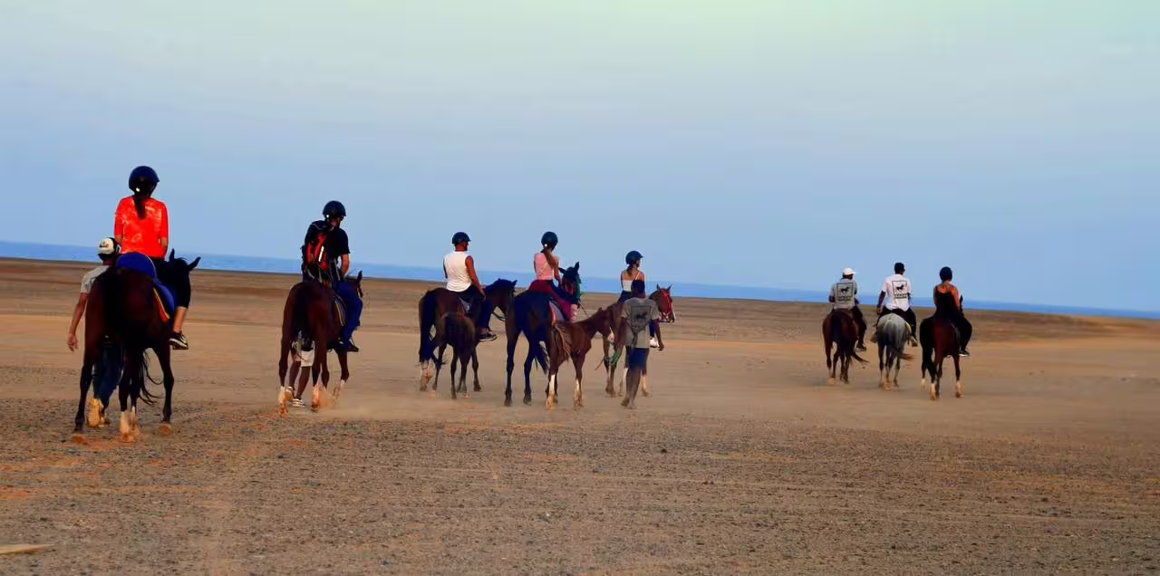 Group horseback riding along Hurghada beach and desert coastline, guided tour with Red Sea views