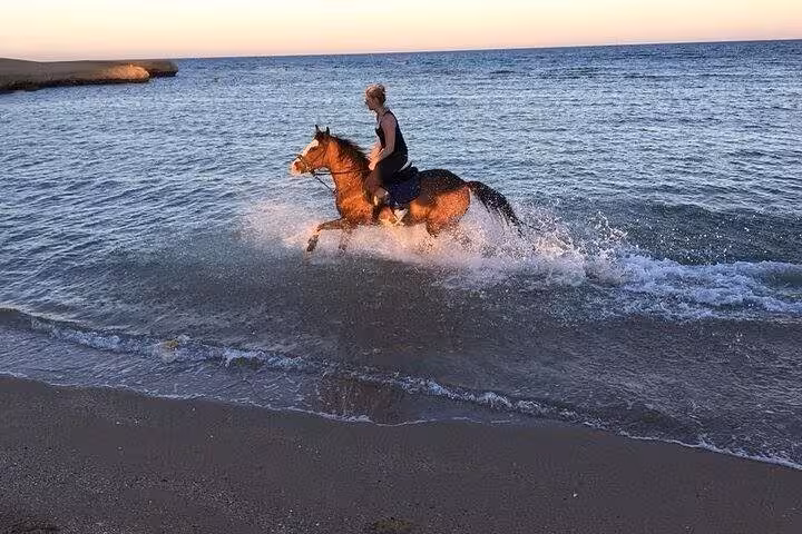 Rider galloping horse through Red Sea waves at sunset in Hurghada, highlight of 2-hour sea and desert riding tour