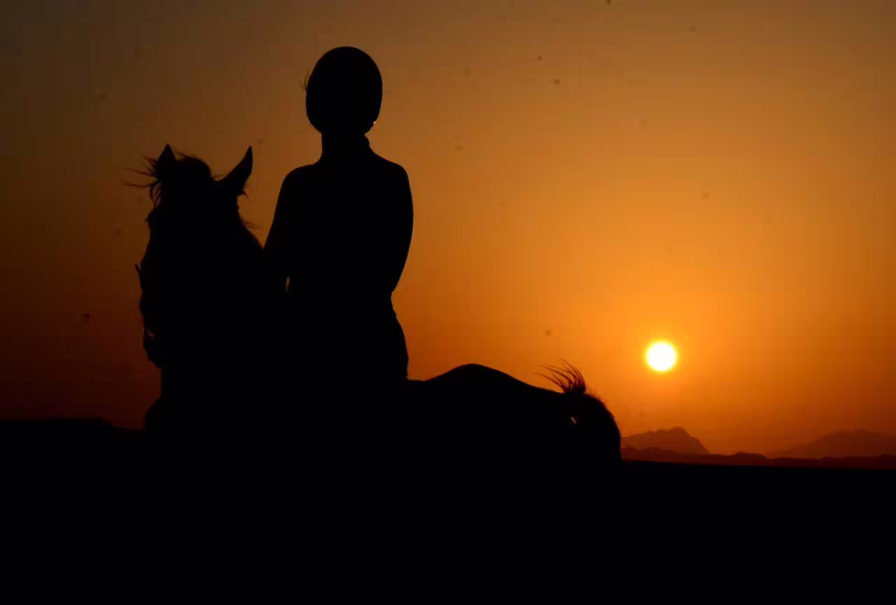 Silhouette of rider on horse at sunset in Hurghada desert, Egypt, scenic beach and desert horseback tour