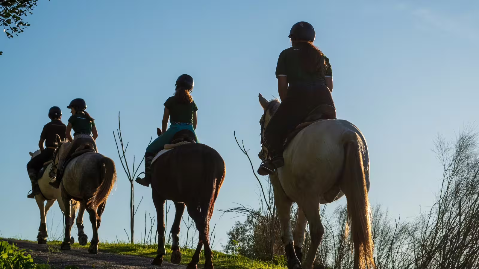 Riders on horseback silhouetted against a clear blue sky during a montado trail adventure.