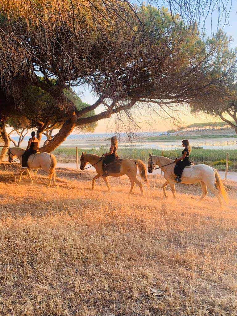 Riders enjoy a serene horseback ride through sunlit meadows with a scenic view in the afternoon glow.