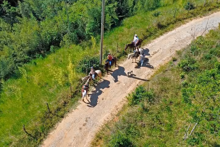 Aerial view of a group horseback riding along a scenic dirt path through vibrant greenery in the Atlantic forest.