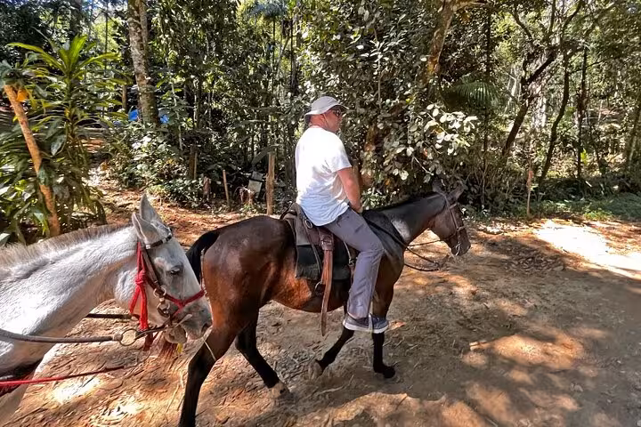 Man riding a horse on a shaded path through the Atlantic Forest, experiencing nature with Paraty Tours.