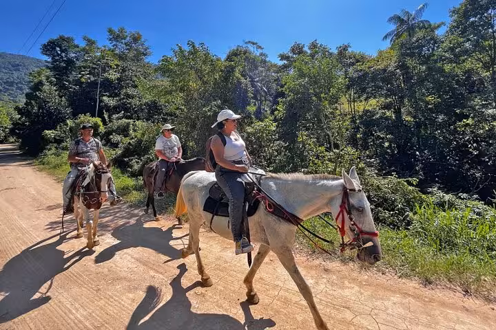 Group enjoys a scenic horseback ride along a sunny trail surrounded by rich greenery.