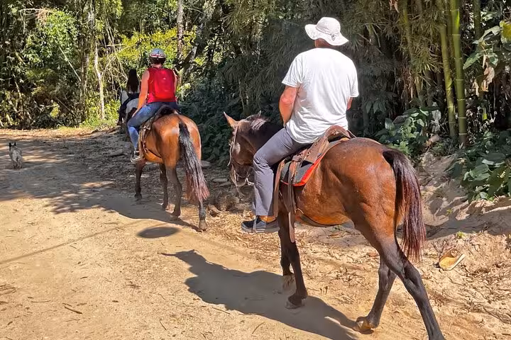 Guests ride horses through shaded paths in the lush Atlantic Forest, guided by Paraty Tours.