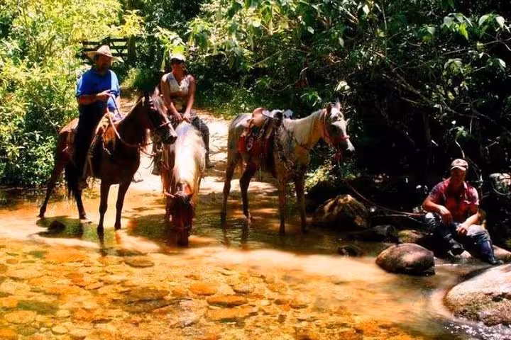 Riders and horses crossing a serene stream in the lush Atlantic Forest with Paraty Tours.