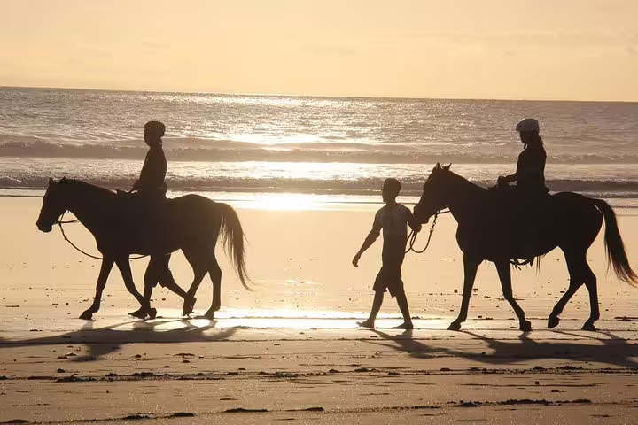 Silhouettes of riders on horseback at sunset along Djerba Lagoon beach, showcasing a serene horseback riding experience.