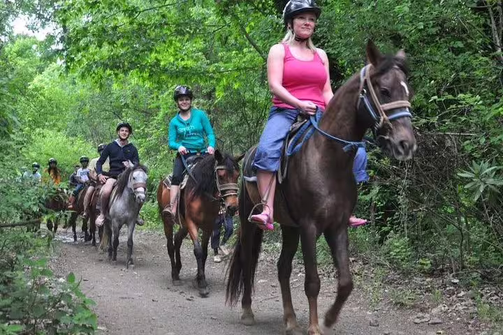 Cruise guests enjoy a scenic horseback ride through lush forest trails near Kusadasi Port, perfect for nature lovers.