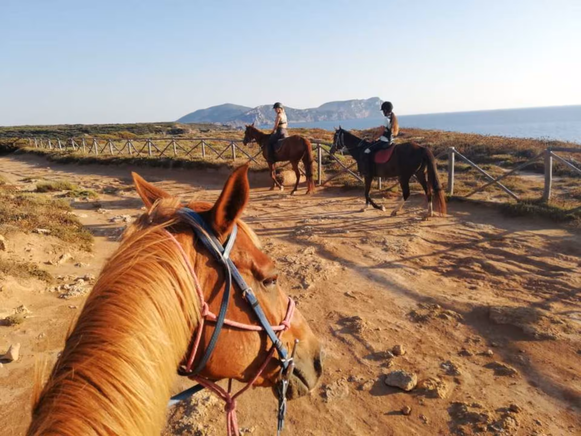 Horseback riders pause on a sunlit trail overlooking the coastline and Lake Baratz in picturesque Alghero.