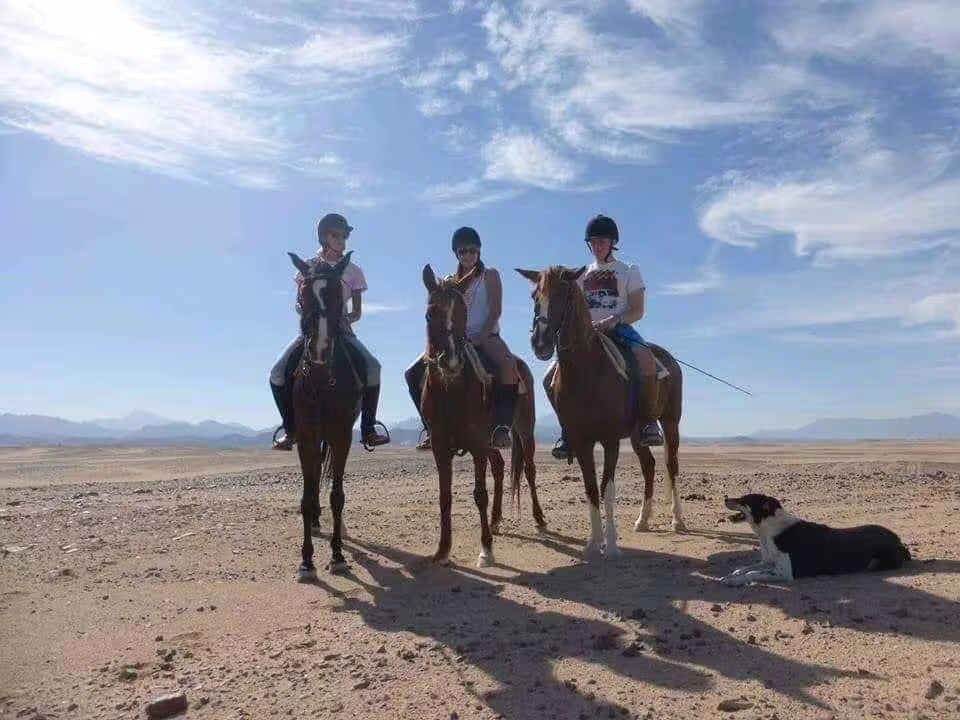 Riders on horses in Marsa Alam desert with helmets, scenic mountains and blue sky on a guided tour