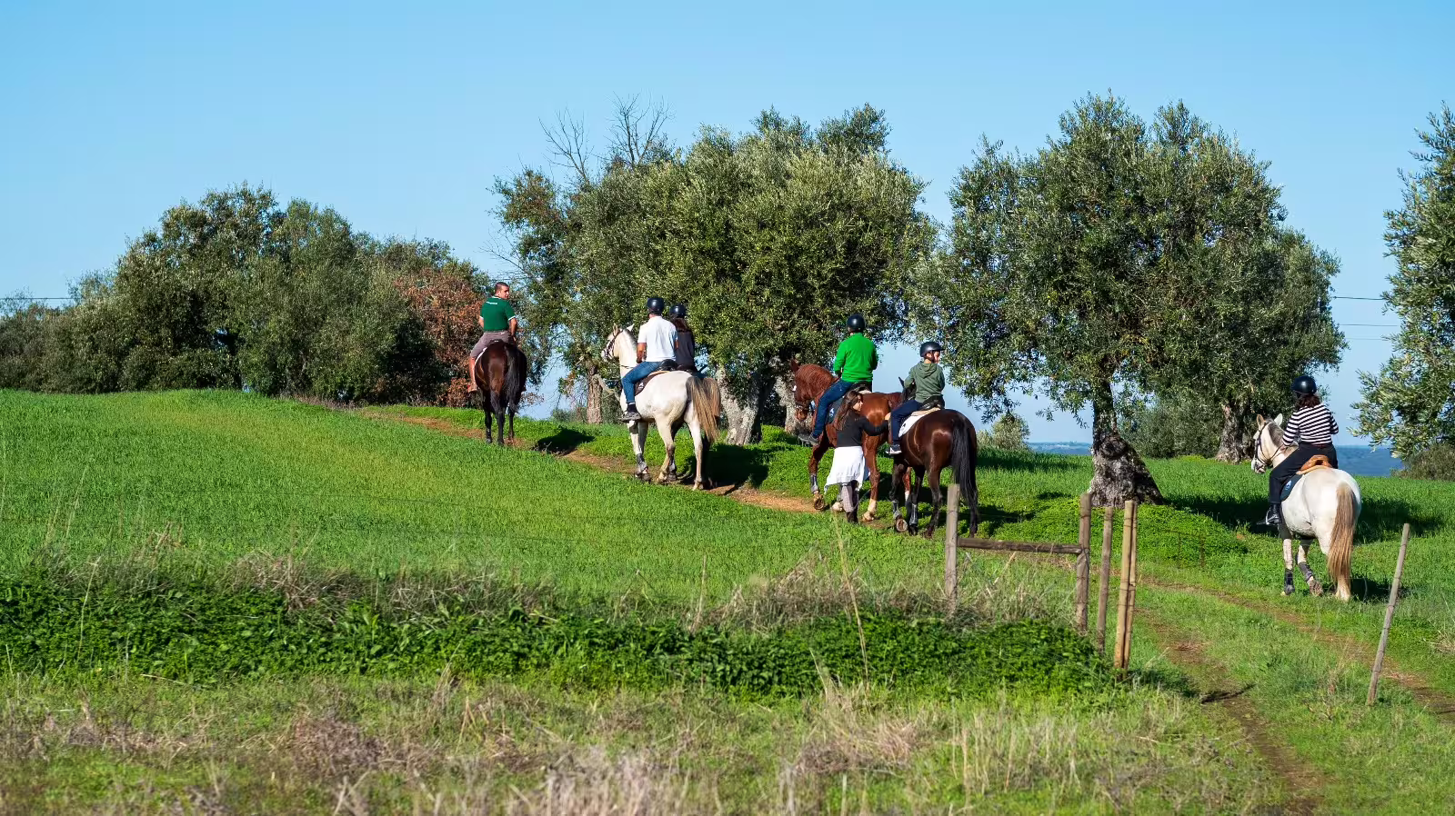 Group enjoying horseback riding through lush montado landscape under clear blue skies.