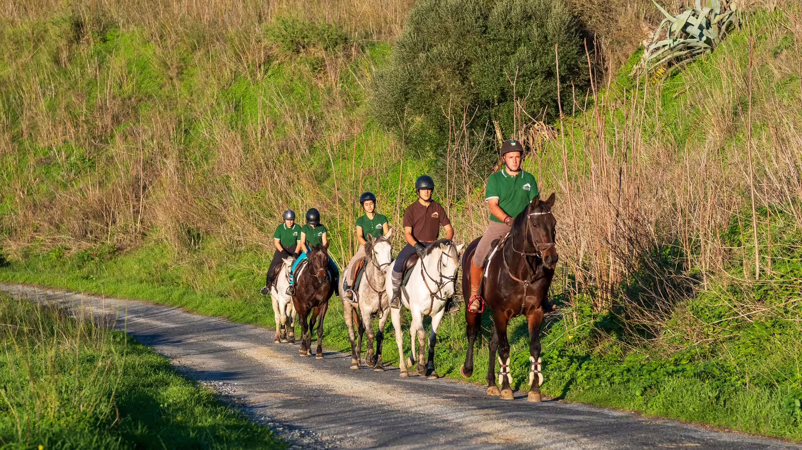 Riders on horseback exploring scenic montado trails surrounded by greenery and sunlight.