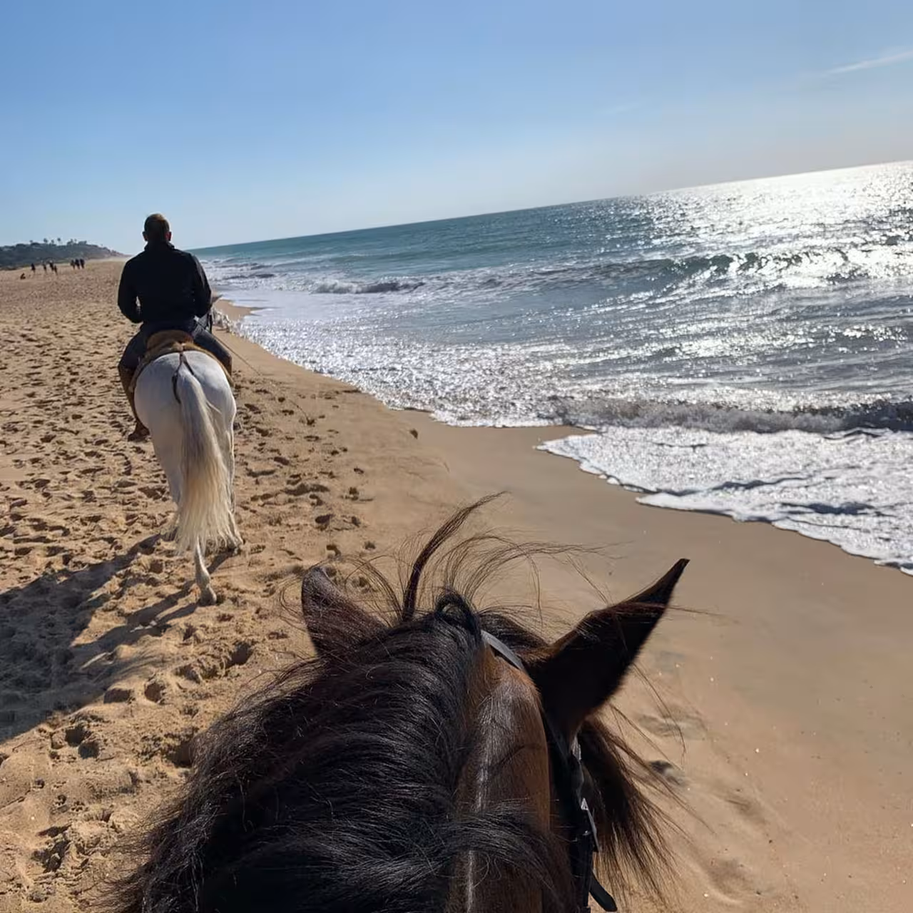 Scenic view from horseback on Quarteira beach, capturing the sunlit ocean waves and expansive sandy shoreline.