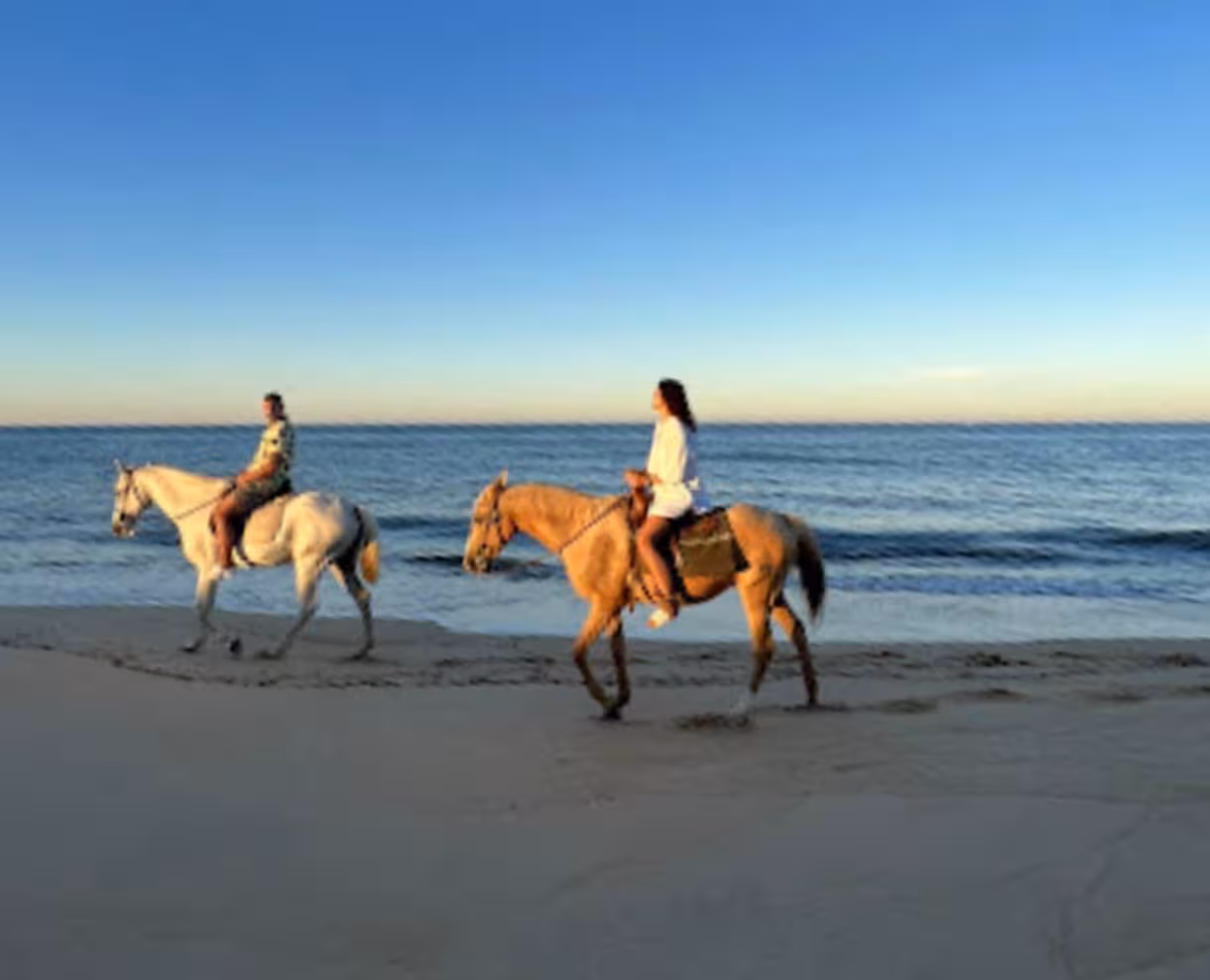 Riders enjoy a serene horseback ride along Quarteira beach at sunrise, with the ocean waves gently lapping the shore.