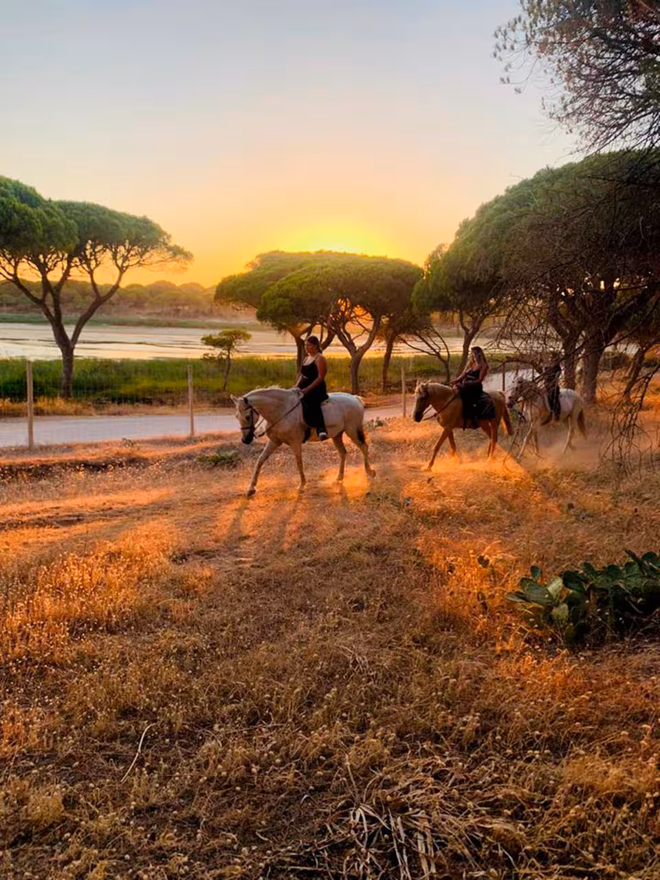 Riders on horseback traverse a picturesque landscape at sunset, ideal for an afternoon equestrian adventure.
