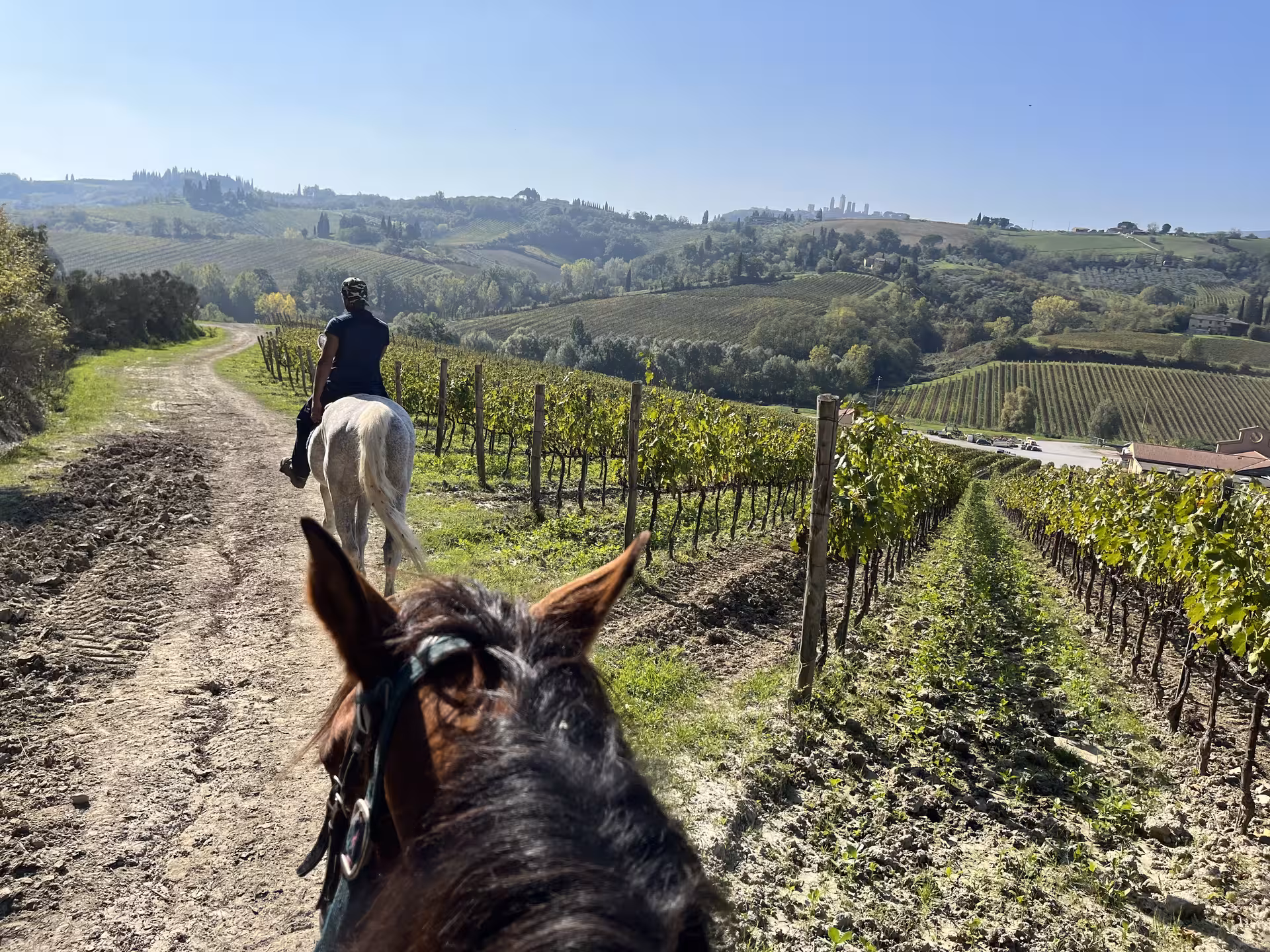 Horseback rider exploring picturesque vineyards in Tuscany landscape.