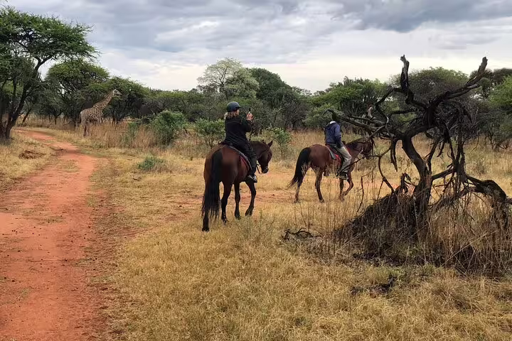 Horseback Safari Johanneburg