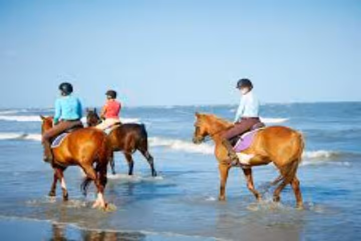 Group riding horses in shallow Red Sea water near Hurghada, perfect for a 3-hour swim with horses experience