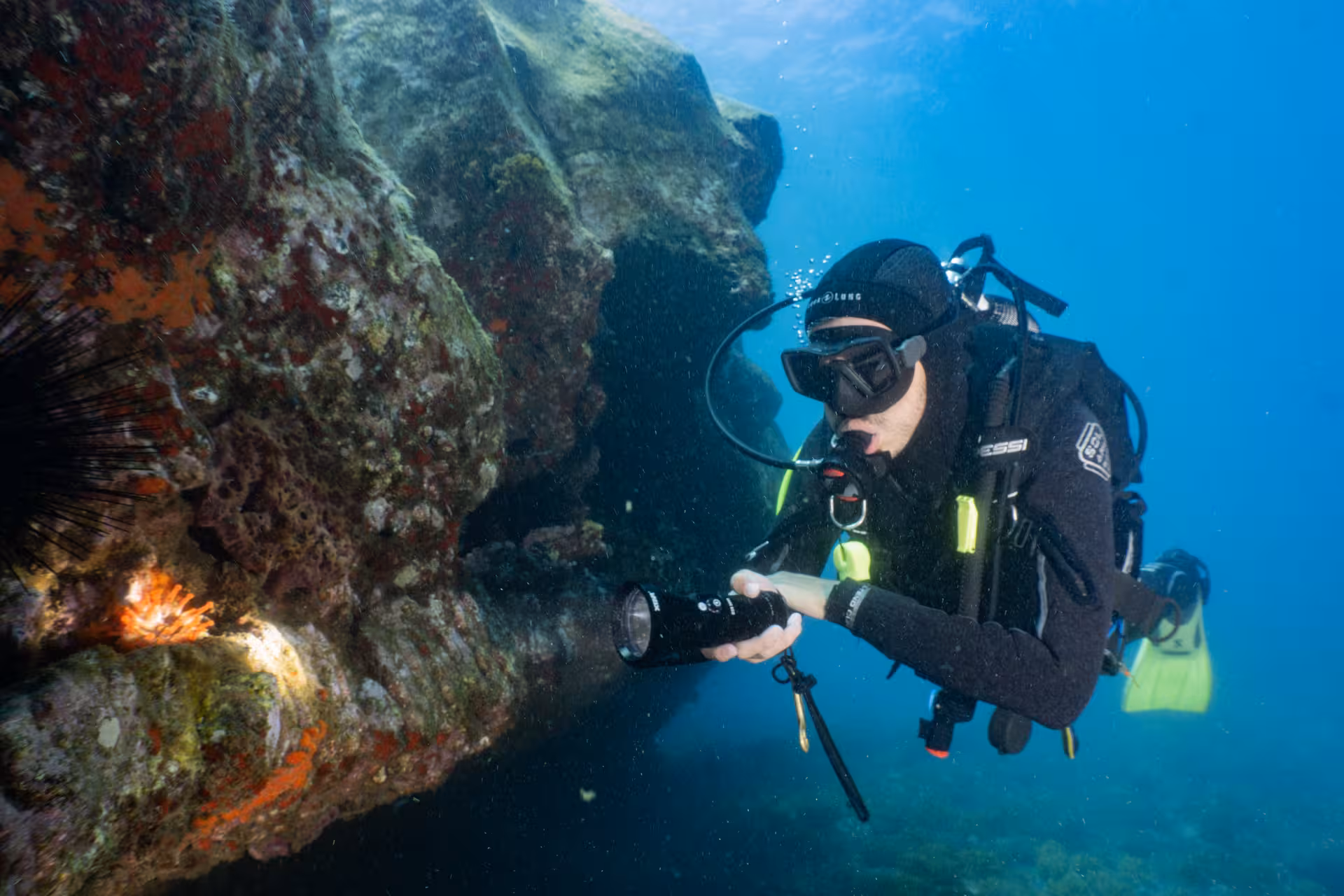 Diver examining coral formations with flashlight on a house-reef shore dive, revealing diverse marine ecosystem.