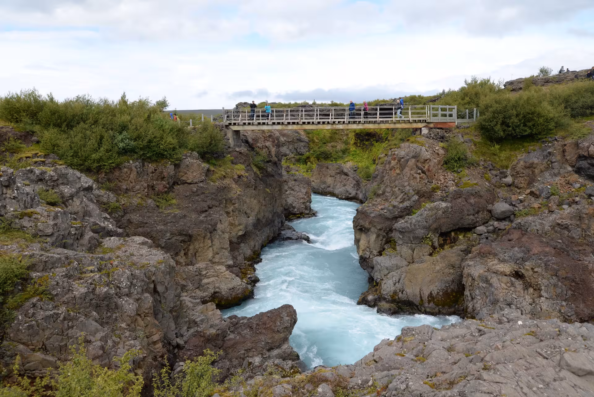 Breathtaking Hraunfossar waterfalls cascading into vivid blue glacial river surrounded by lush green lava fields in Borgarfjordur Iceland