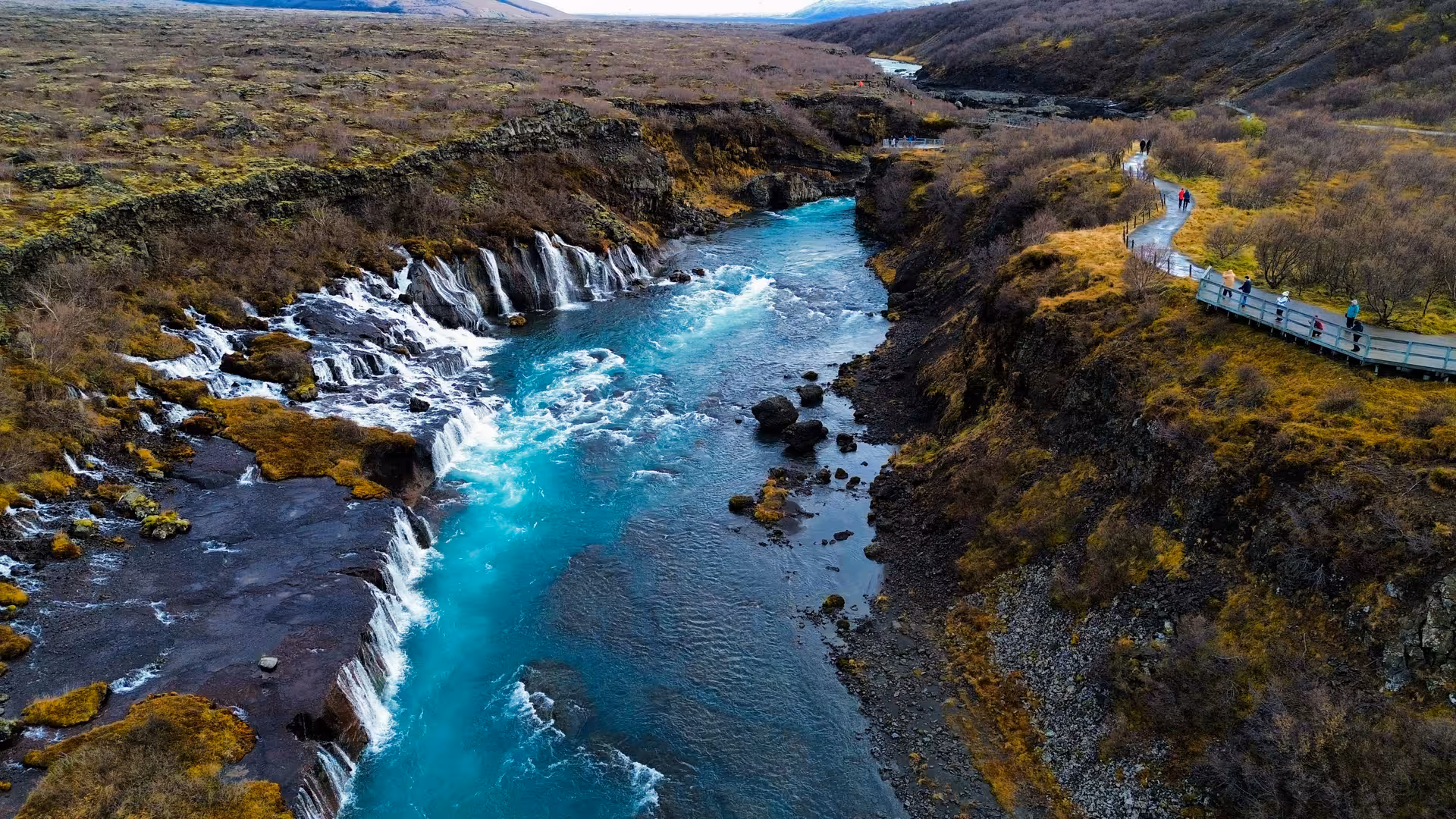 Aerial view of Hraunfossar waterfalls flowing into turquoise Hvítá river in West Iceland