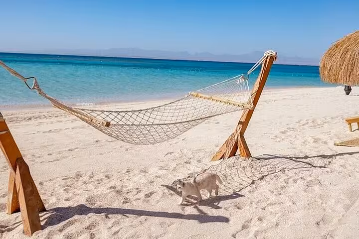 Seaside hammock on Hula Hula Island, Hurghada, overlooking clear Red Sea water, relaxing beach day trip with lunch