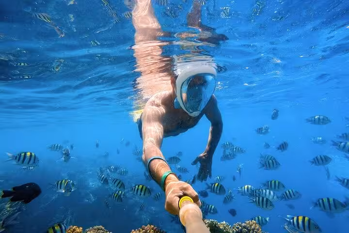 Seaview snorkeling with tropical fish in the Red Sea on Hula Hula Island excursion with lunch and water sports