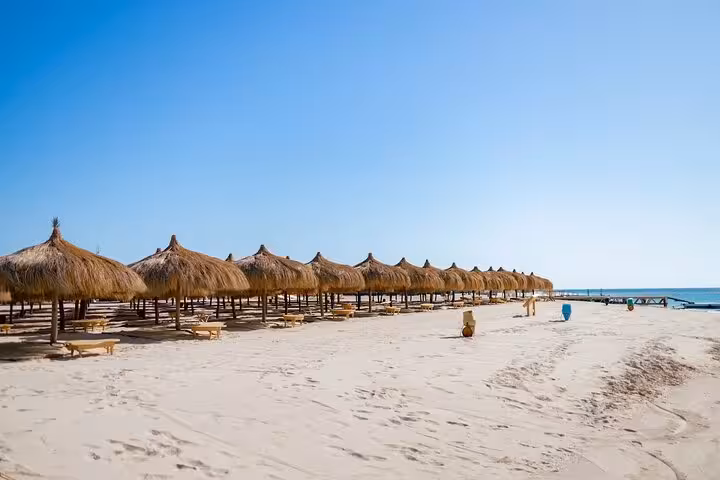 Hula Hula Island beach near Hurghada with straw umbrellas and soft sand on a private speedboat day trip