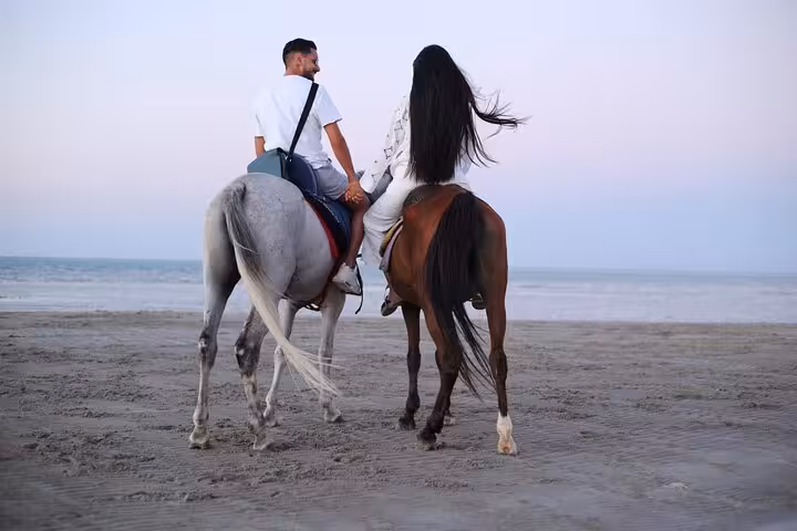 Couple riding horses along Hurghada beach at sunset, Desert & Sea horse riding tour with optional swim