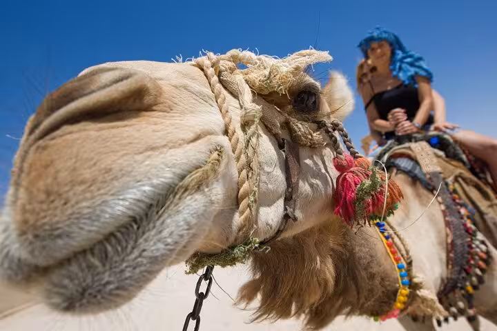 Close-up camel ride in Hurghada desert safari experience, part of 6-hour jeep tour with BBQ dinner and show