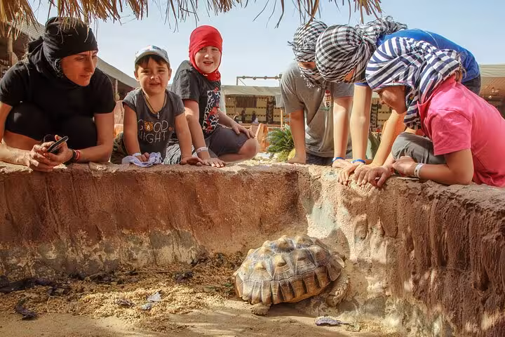 Guests visit a desert camp animal corner on Hurghada safari tour, family watching a tortoise up close
