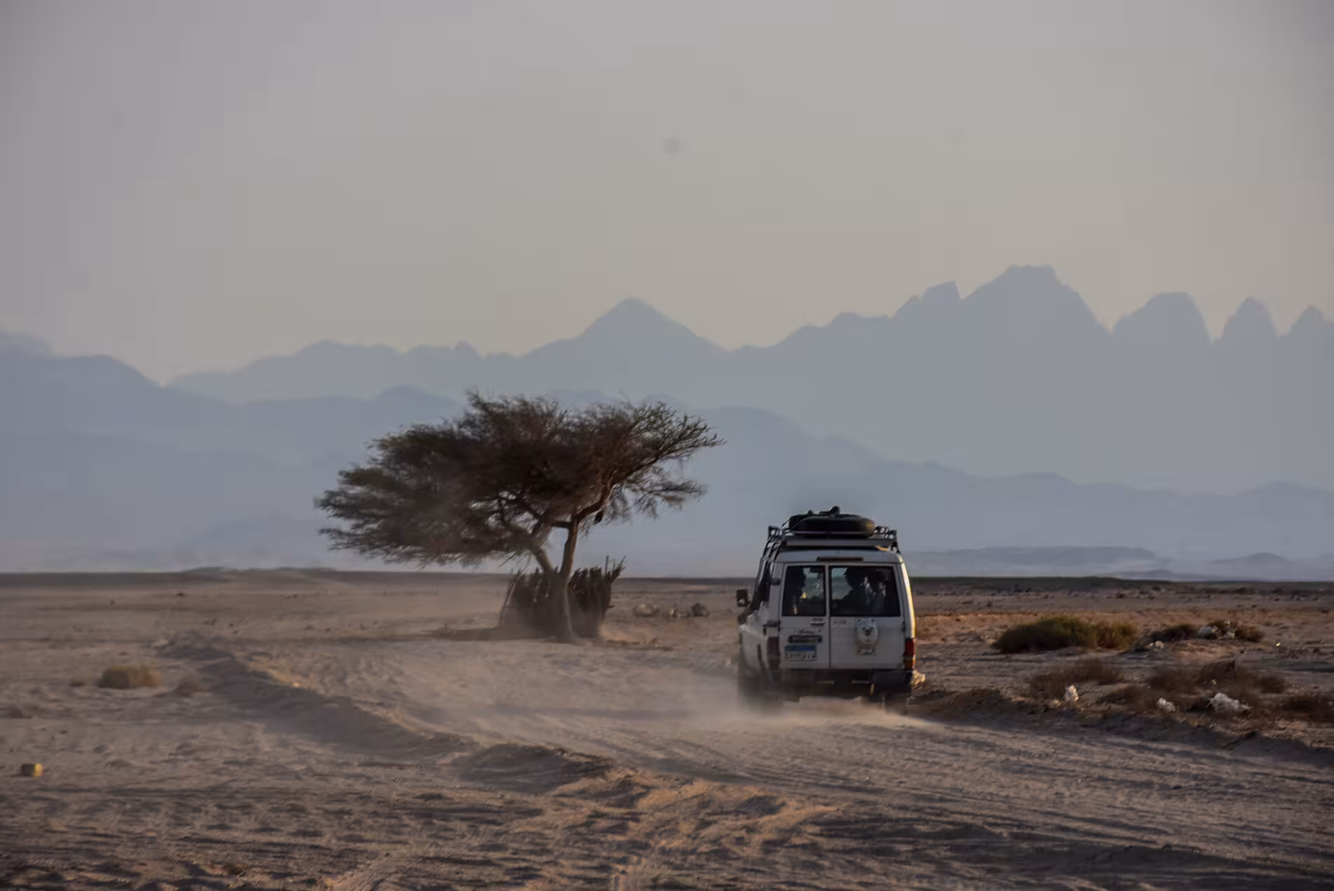 White 4x4 jeep driving through Hurghada desert at sunset with acacia tree and mountain backdrop
