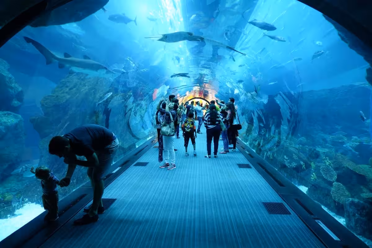 Visitors walk through Hurghada Grand Aquarium glass tunnel with sharks and reef fish overhead, ticket entry tour
